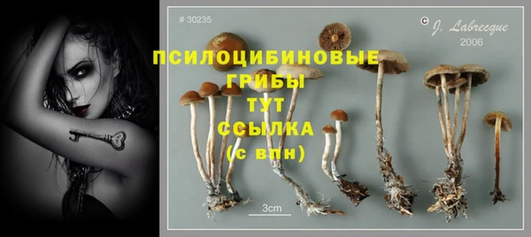 СК Алзамай