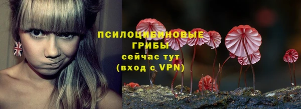 СК Алзамай