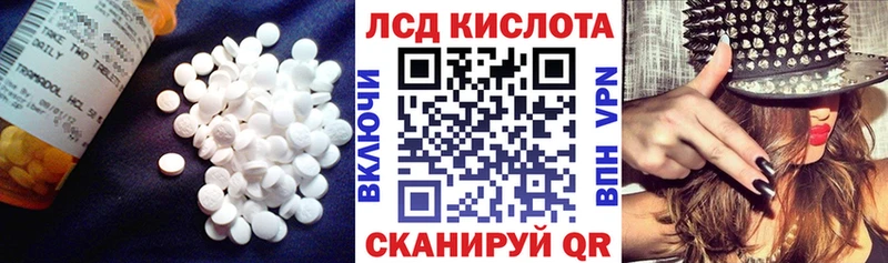 mega ссылки  Котлас  Лсд 25 экстази кислота  где продают  