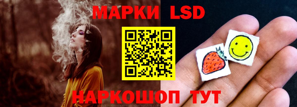  COCAIN Котлас