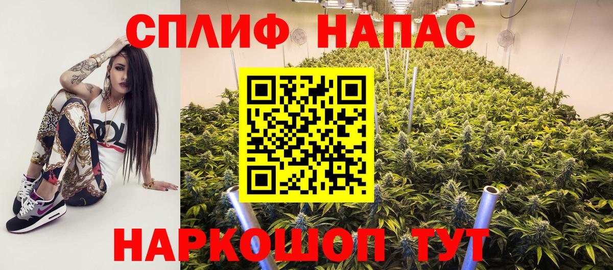 Бошки Шишки конопля Котлас